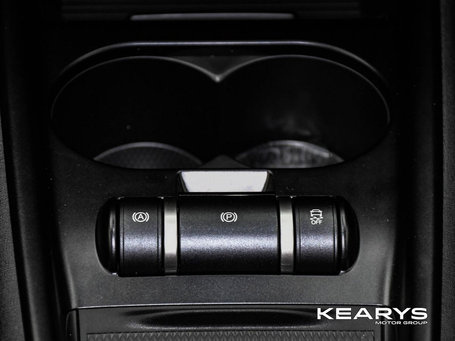 2026 BYD Dolphin - image 17