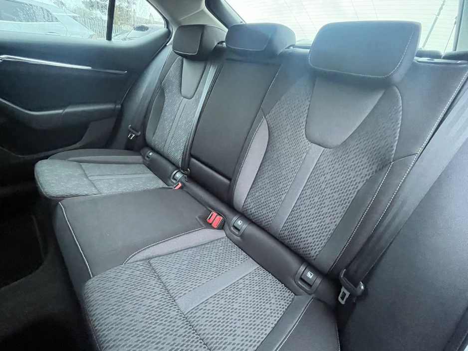 2024 Skoda Octavia - image 13