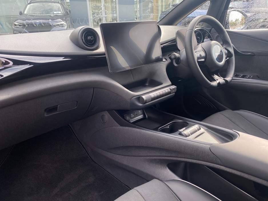 2025 BYD Dolphin - image 12