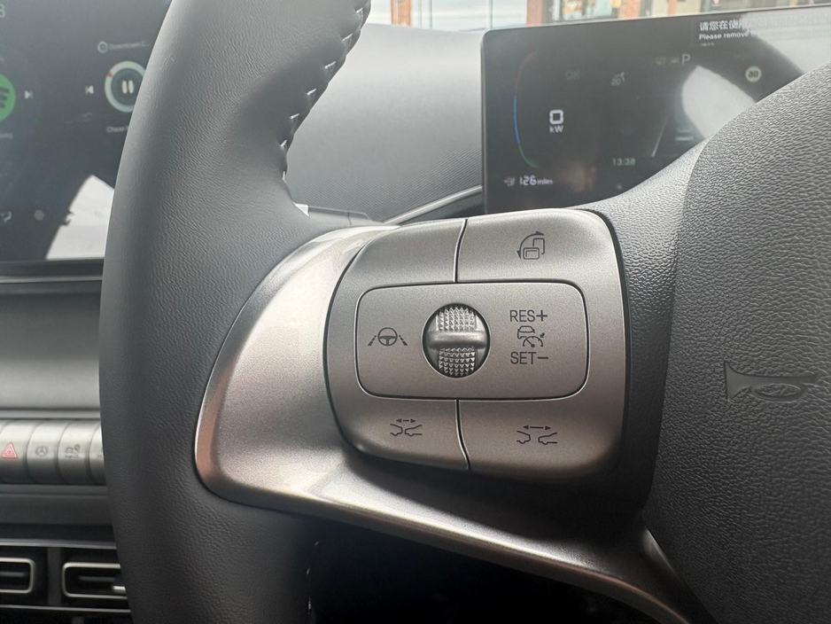 2025 BYD Dolphin Surf - image 11