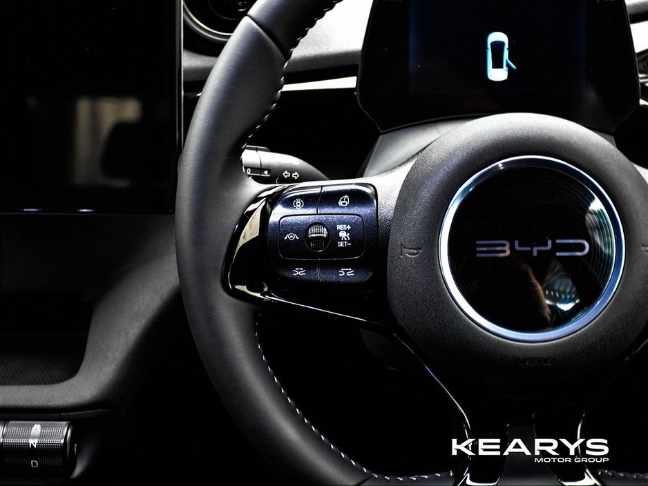 2026 BYD Dolphin - image 16