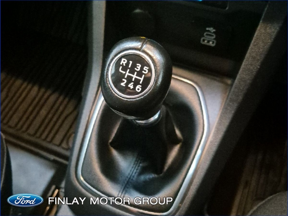 2025 Ford Courier LIMITED 1.5 L ECOBLUE 100BHP M6 €123,456