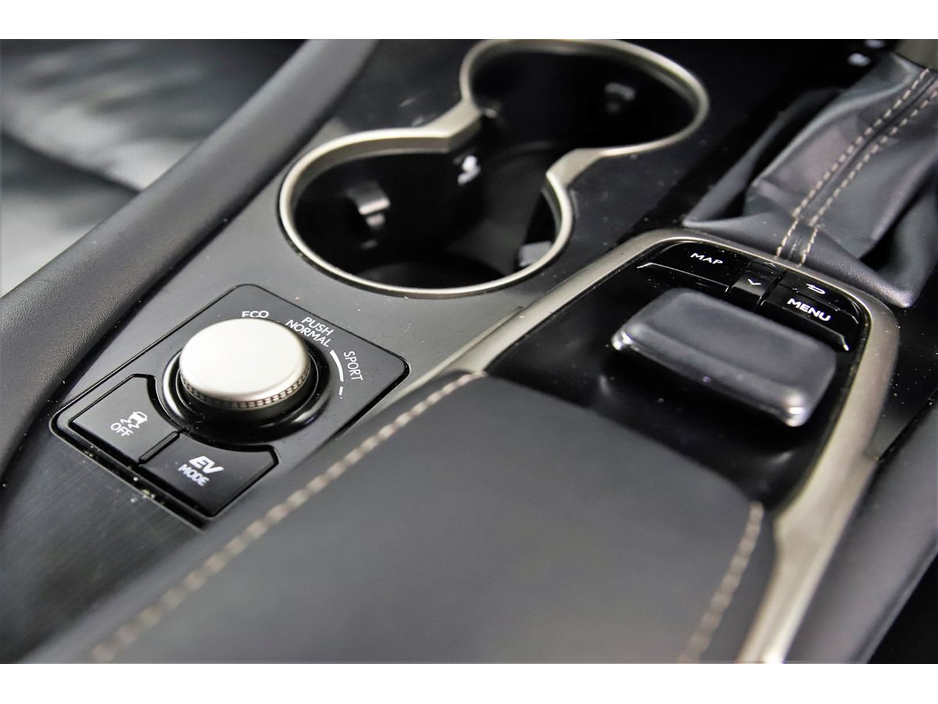 2018 Lexus RX 450 h - image 24