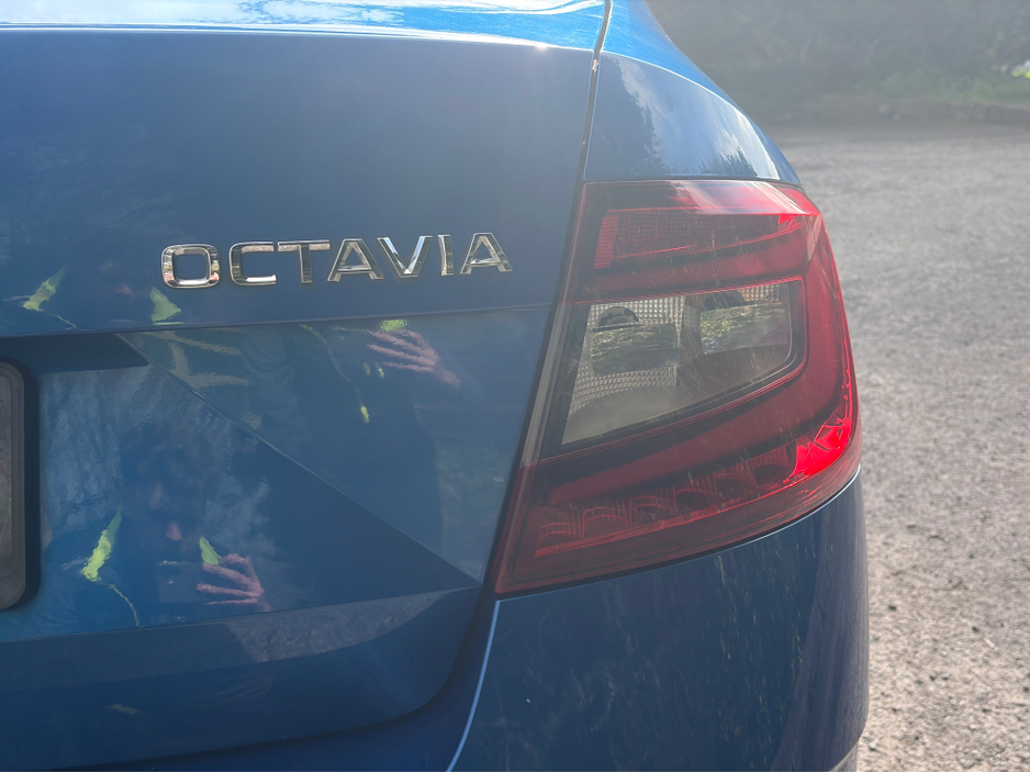 2019 Skoda Octavia - image 8