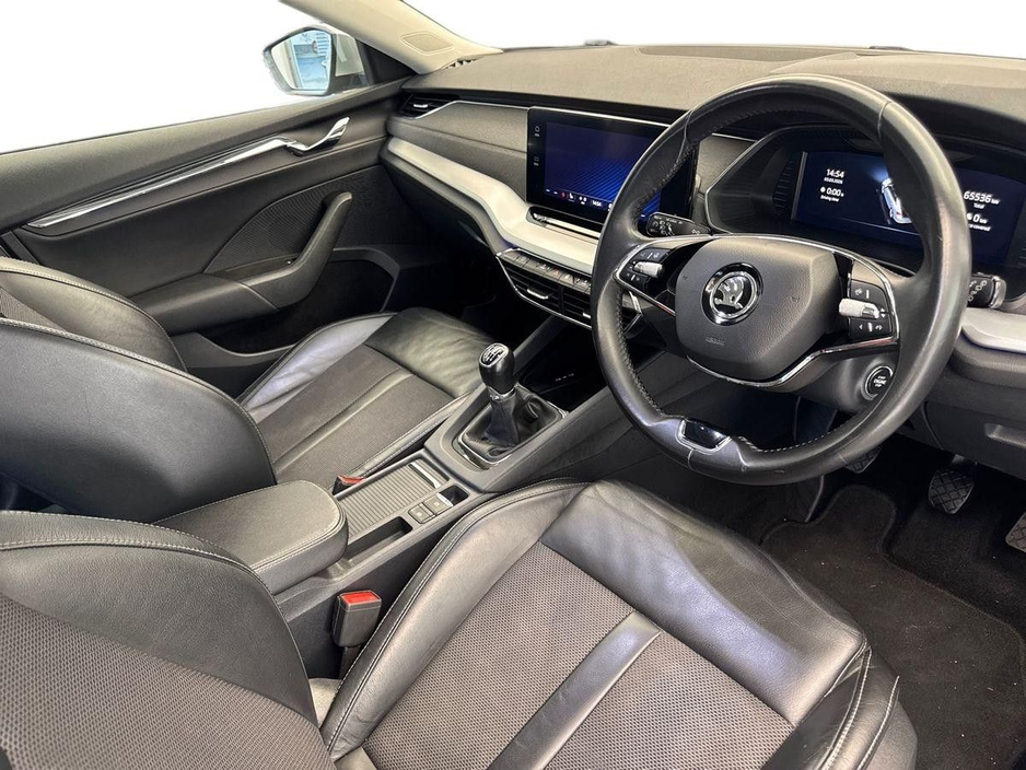 2023 Skoda Octavia - image 6