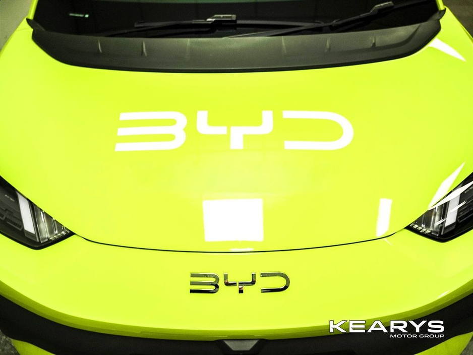 2026 BYD Dolphin Surf - image 9