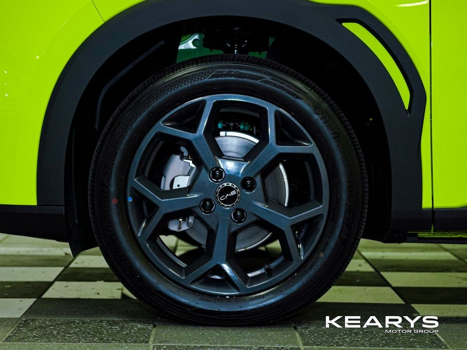 2026 BYD Dolphin Surf - image 11