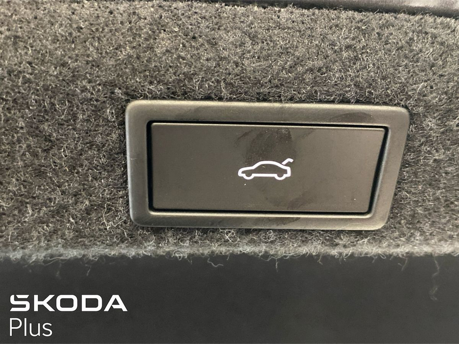 2025 Skoda Octavia - image 25