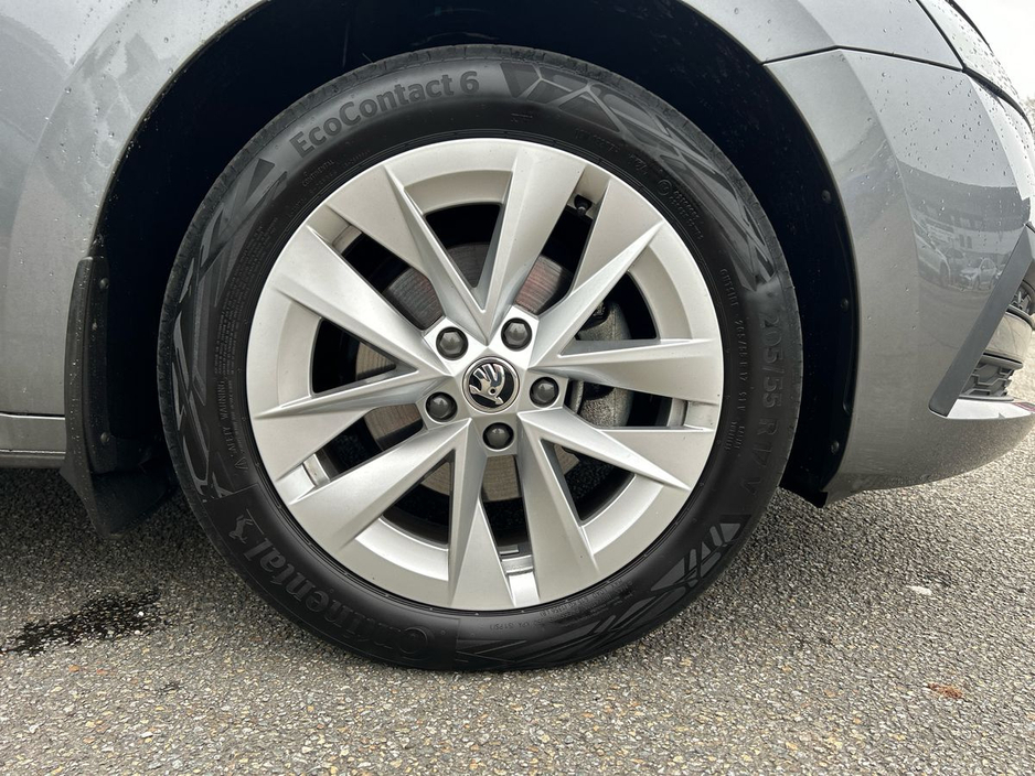 2024 Skoda Octavia - image 5