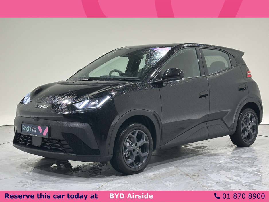 2026 BYD Dolphin Surf - image 2