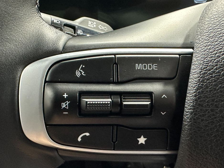 2025 Kia Sportage - image 14