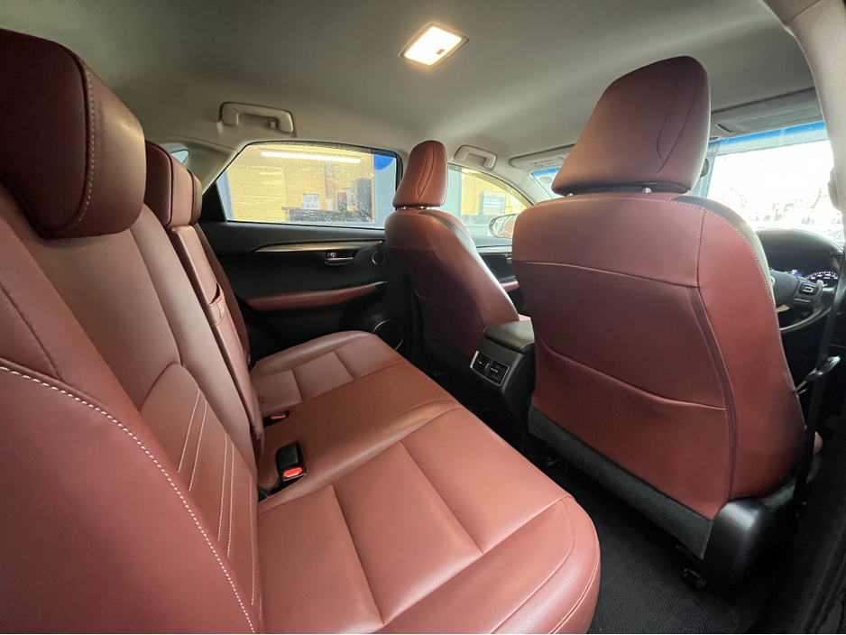 2017 Lexus NX 300 h - image 17