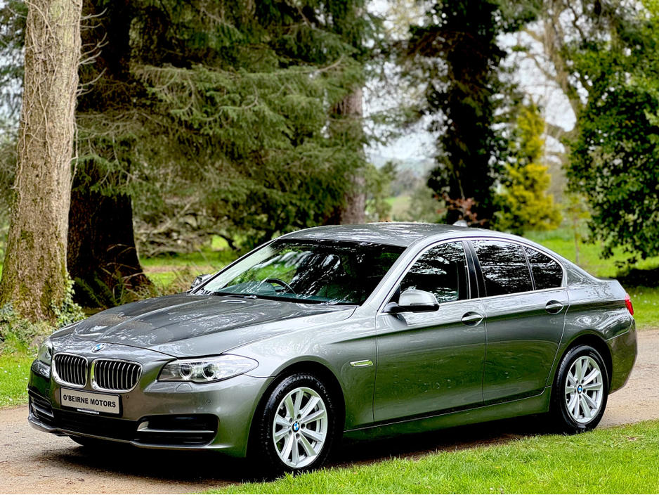 2015 BMW 5 Series - image 18