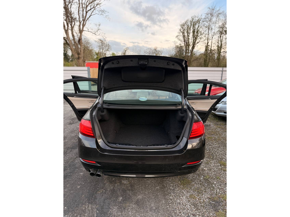 2014 BMW 5 Series - image 24