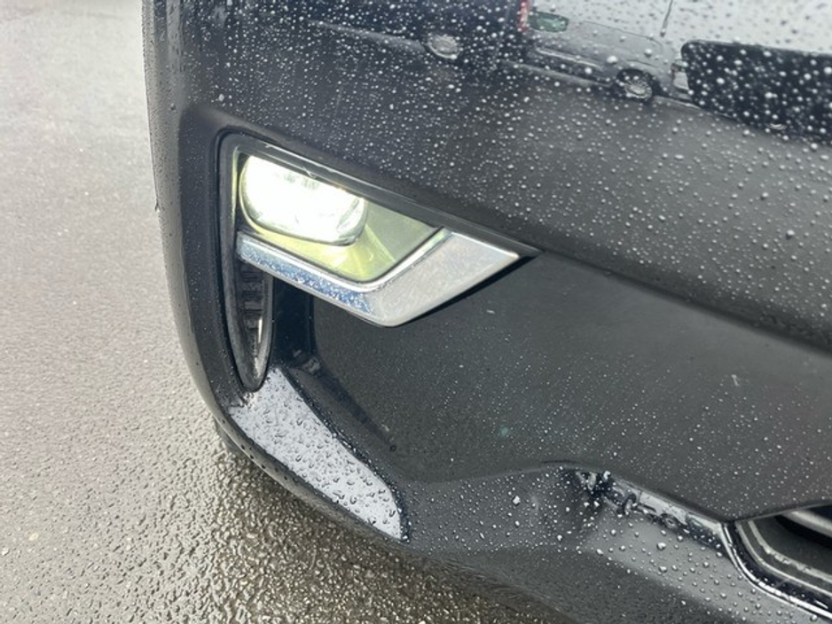 2021 Toyota Landcruiser - image 14