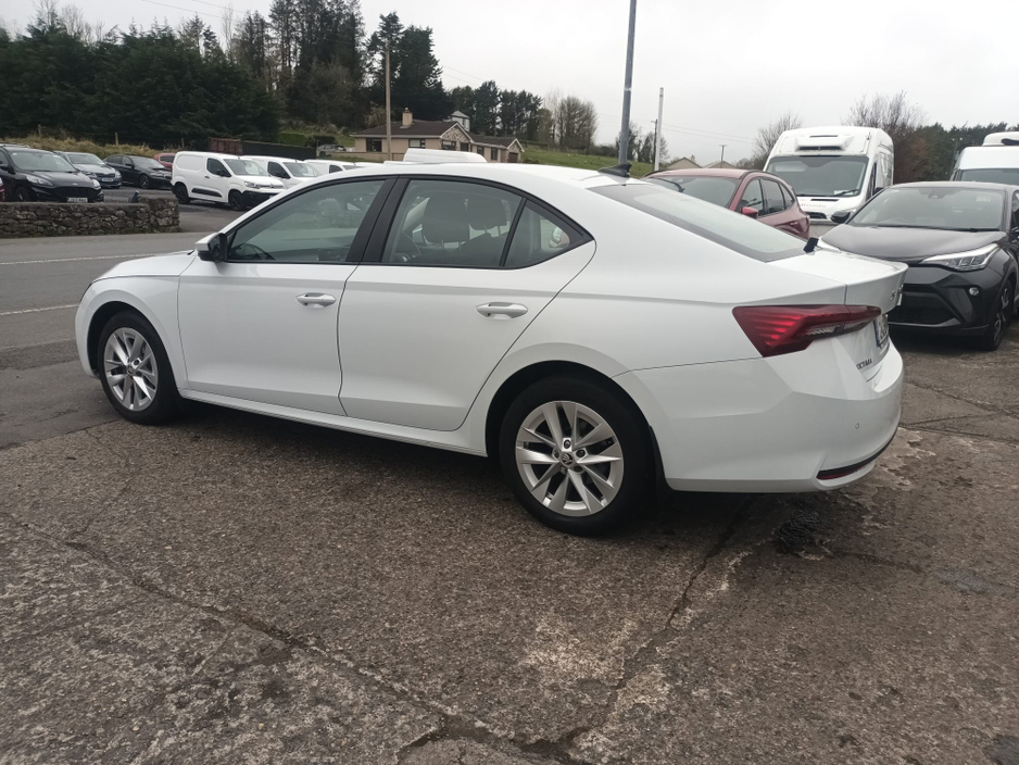 2024 Skoda Octavia - image 6