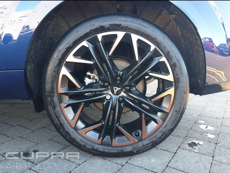 2026 Cupra Terramar - image 6