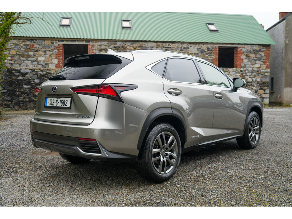 2018 Lexus NX 300 h - image 15