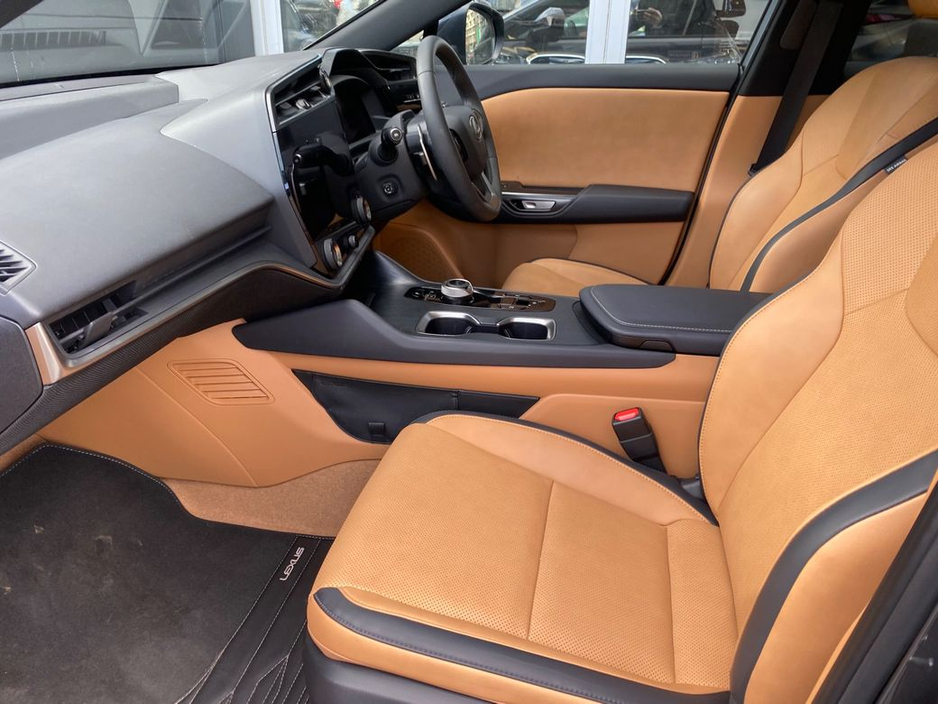 2024 Lexus RZ - image 16