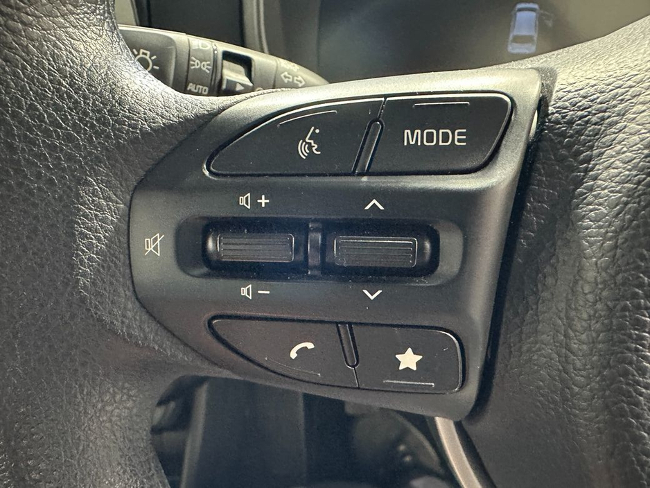 2025 Kia Picanto Petrol 1.0 Manufacturer's Warranty Until 2032 €17,900