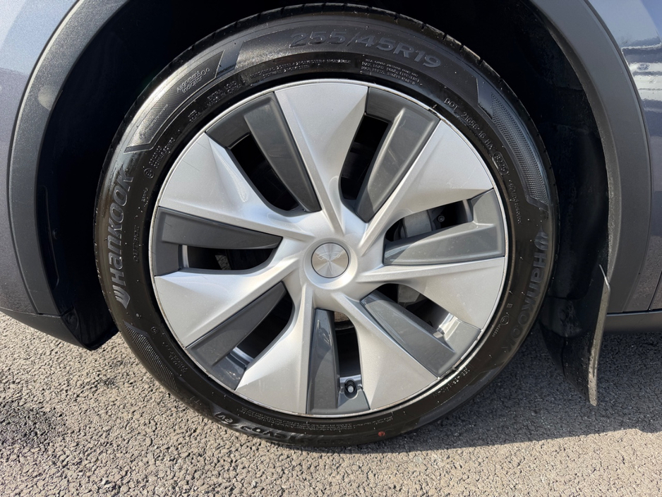 2023 Tesla Model Y - image 10