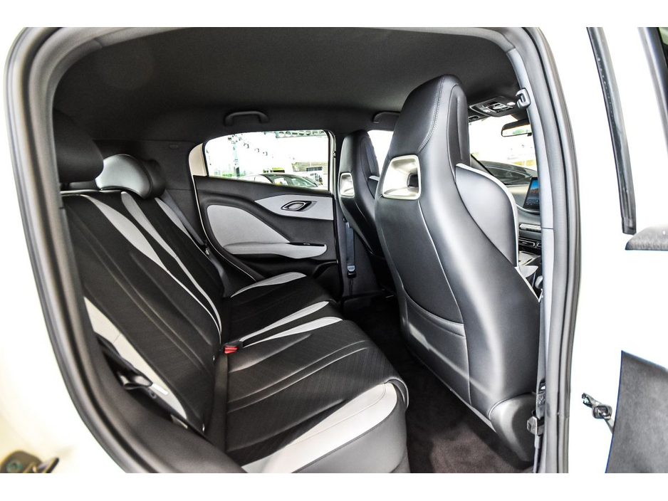 2026 BYD Dolphin Surf - image 11