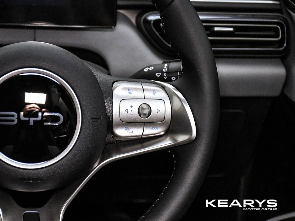 2026 BYD Dolphin Surf - image 14