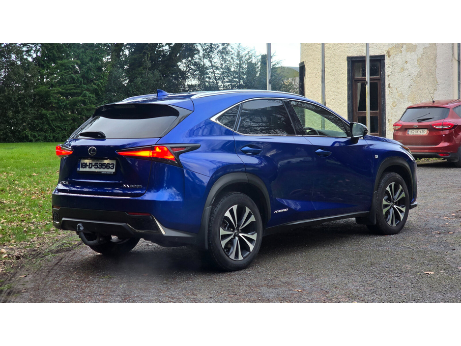 2018 Lexus NX 300 h - image 6