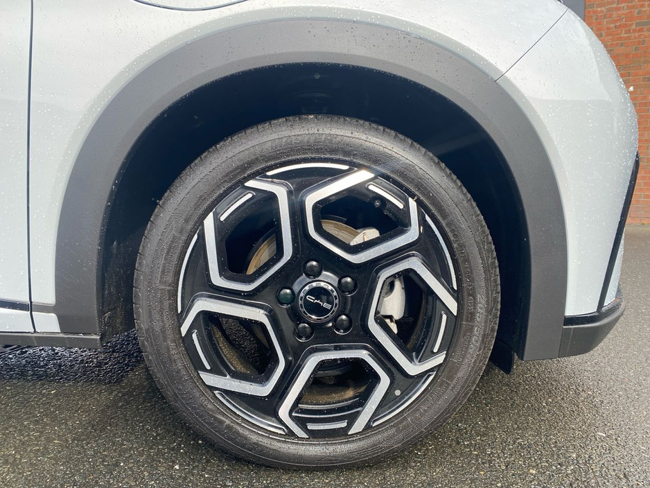 2025 BYD Dolphin - image 5