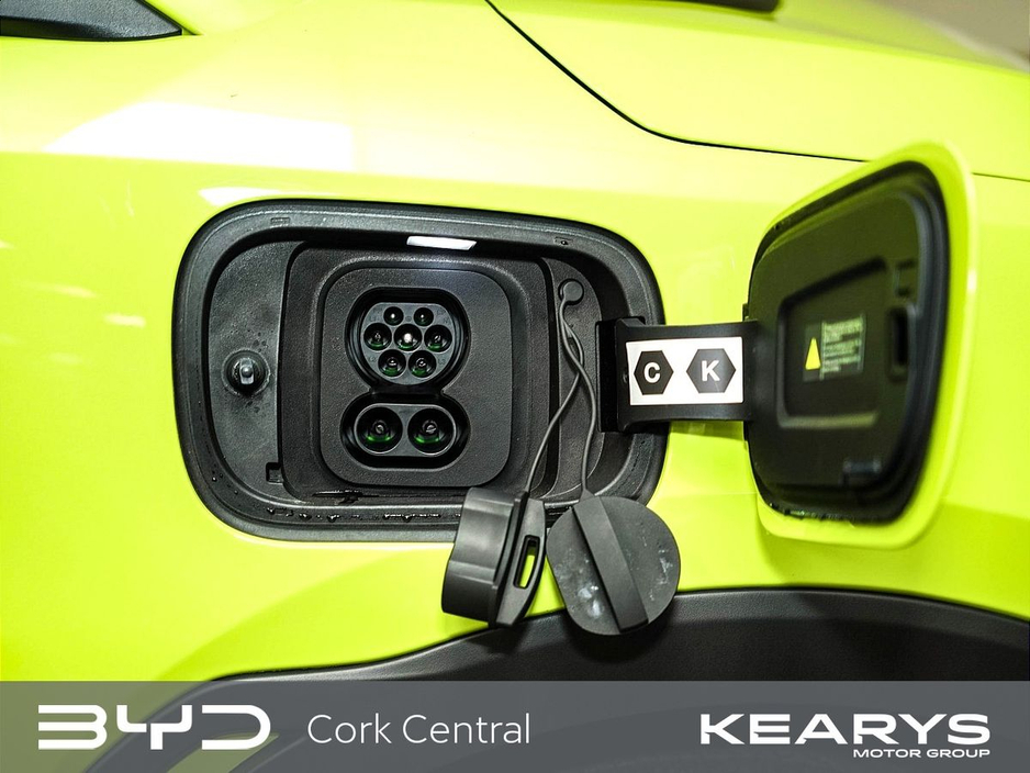 2026 BYD Dolphin Surf - image 6