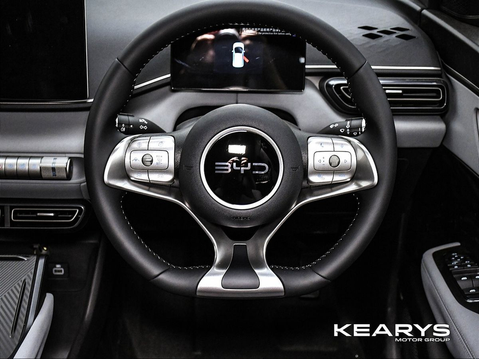 2026 BYD Dolphin Surf - image 12