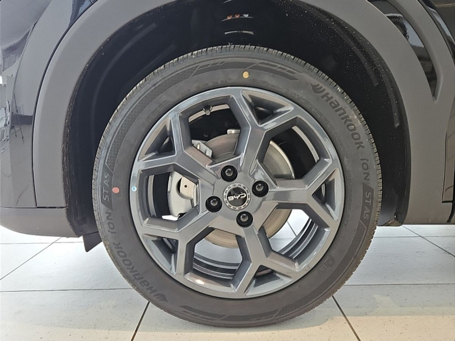 2026 BYD Dolphin Surf - image 13