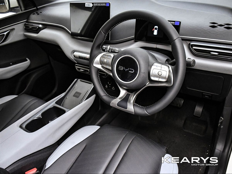 2026 BYD Dolphin Surf - image 11