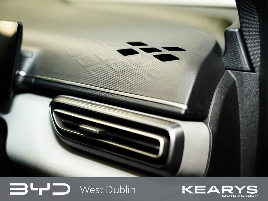2025 BYD Dolphin Surf - image 24