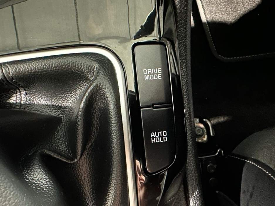 2024 Kia Sportage - image 25