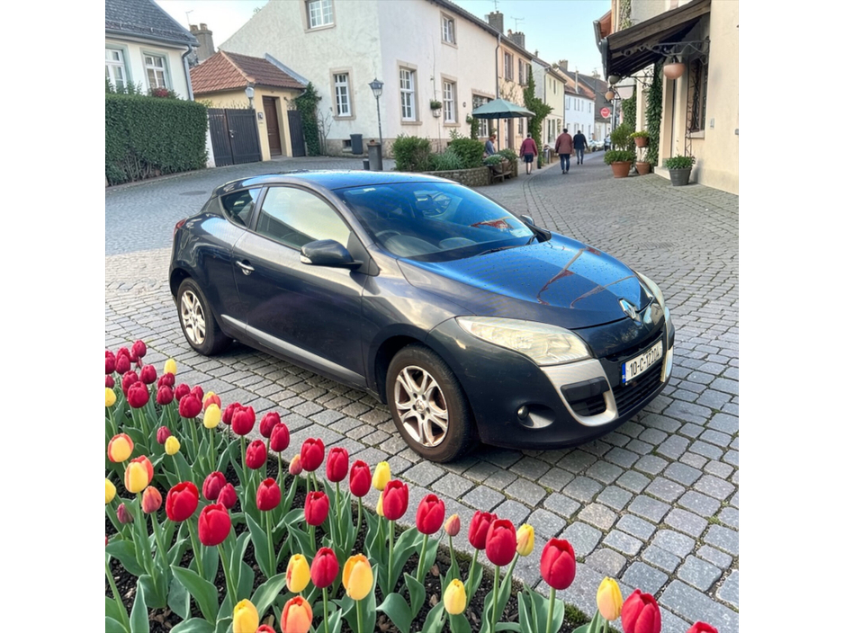 2010 Renault Megane - image 7