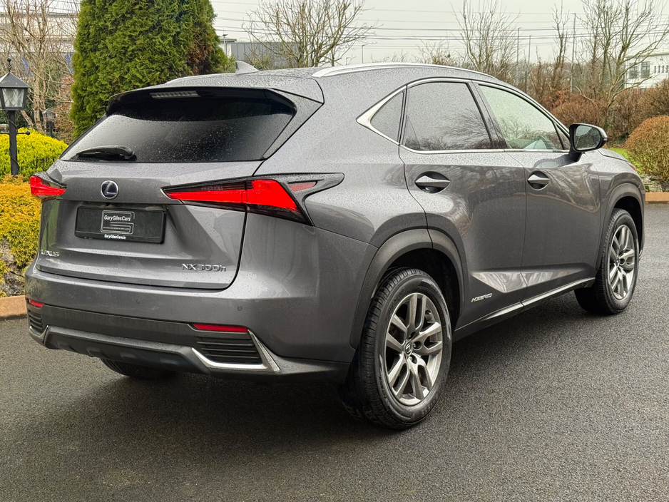 2019 Lexus NX 450 h+ 300h Executive FWD €31,900