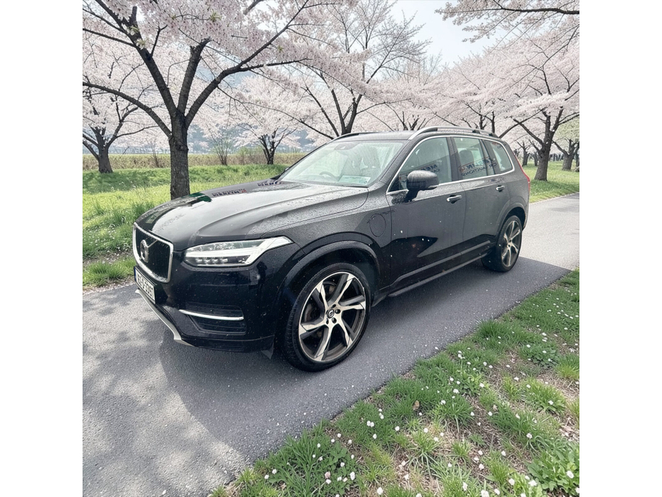 2016 Volvo XC90 - image 10