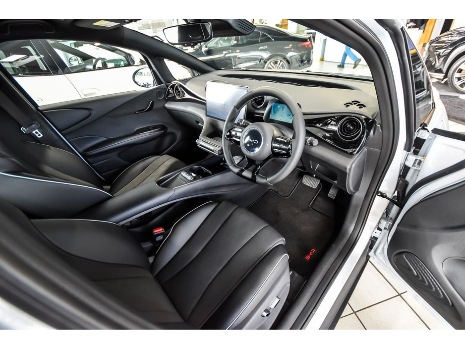 2026 BYD Dolphin Dolphin Comfort 427km Range €33,750