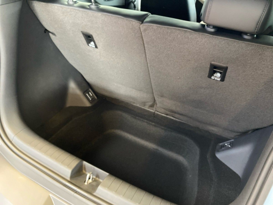 2026 BYD Dolphin Surf - image 4