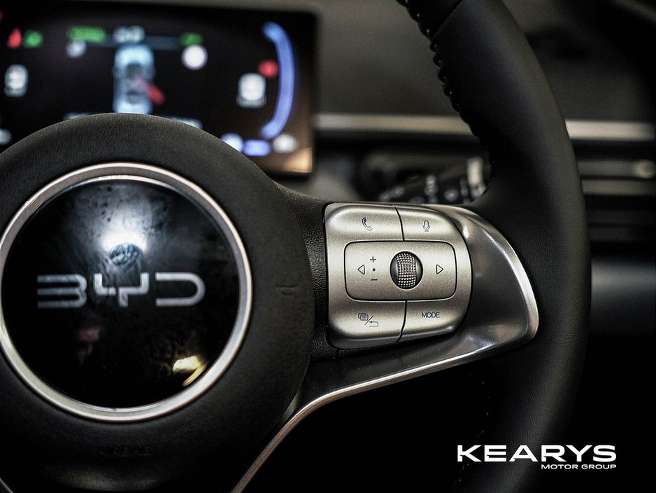 2026 BYD Dolphin Surf - image 21