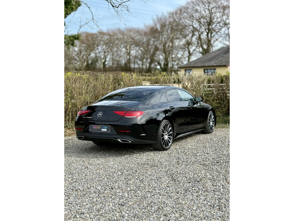 2019 Mercedes-Benz CLS Class - image 12