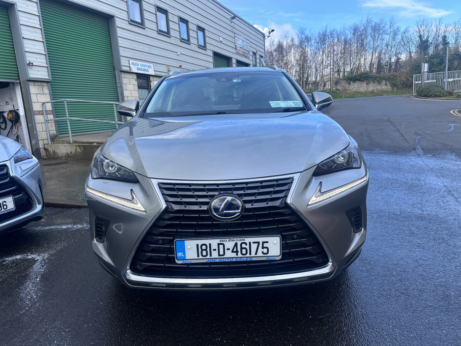 2018 Lexus NX 300 h - image 3