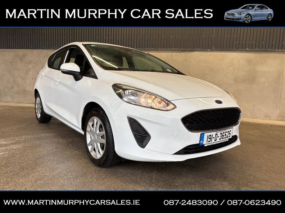 2019 Ford Fiesta ZETEC 1.1 PETROL 70 BHP €11,950