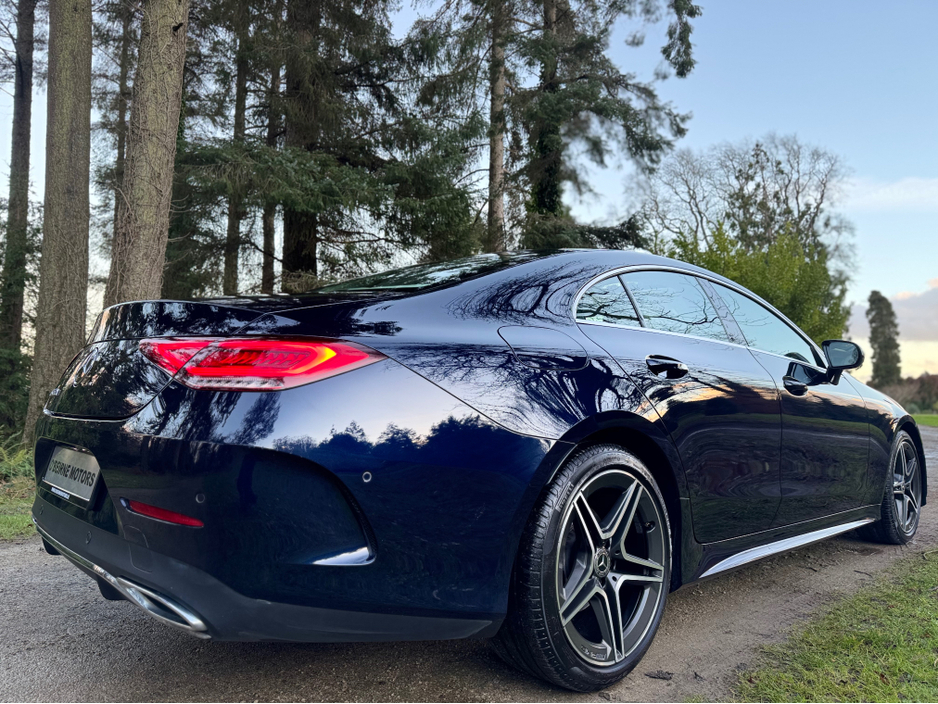 2019 Mercedes-Benz CLS Class - image 10