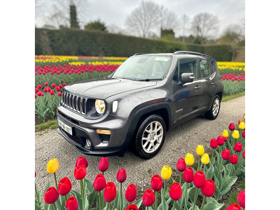 2019 Jeep Renegade - image 3