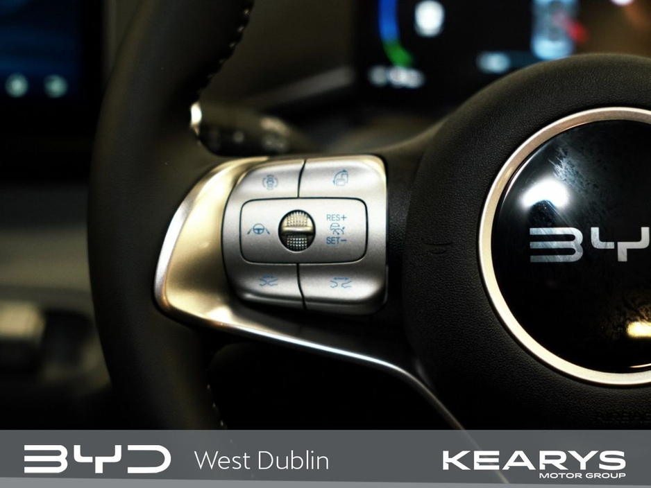 2026 BYD Dolphin Surf - image 25