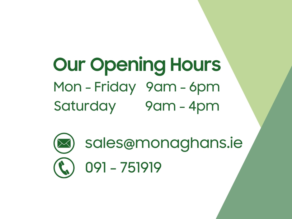 2025 Cupra Born - image 4