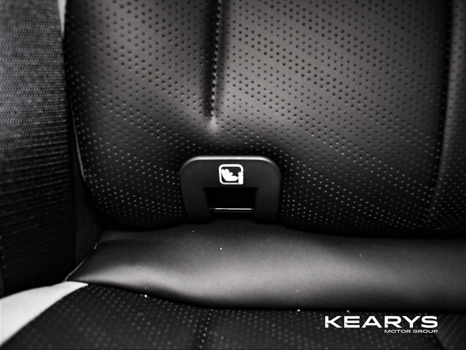 2026 BYD Dolphin Surf - image 14