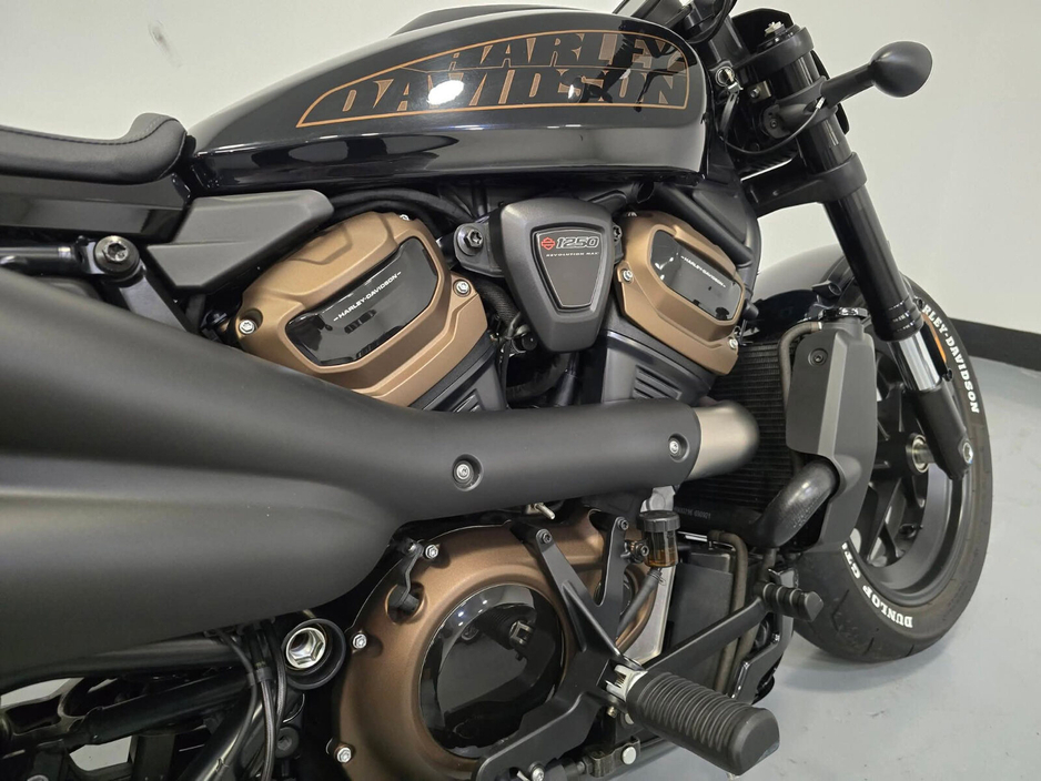2022 Harley-Davidson Sportster - image 6